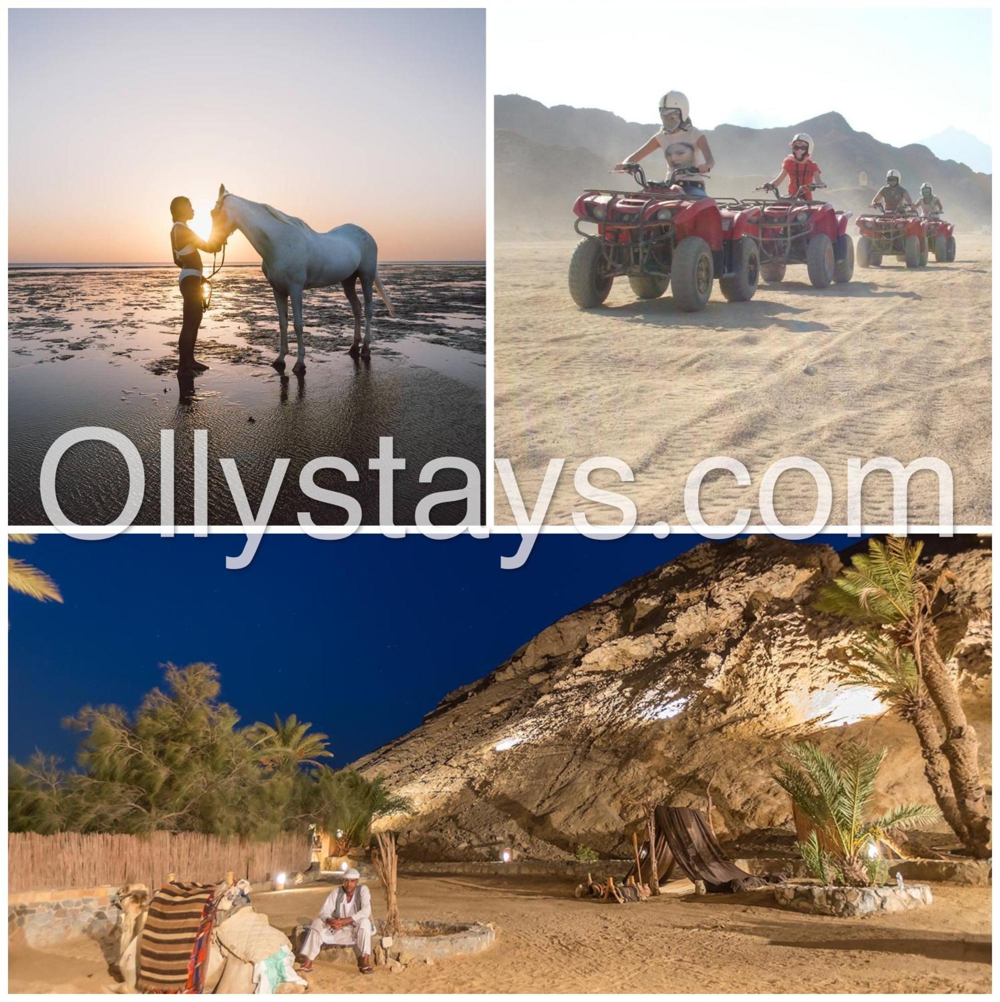 Ollystays Mangroovy Seaview 2Br Beach And Pool Free Access 후르가다 외부 사진